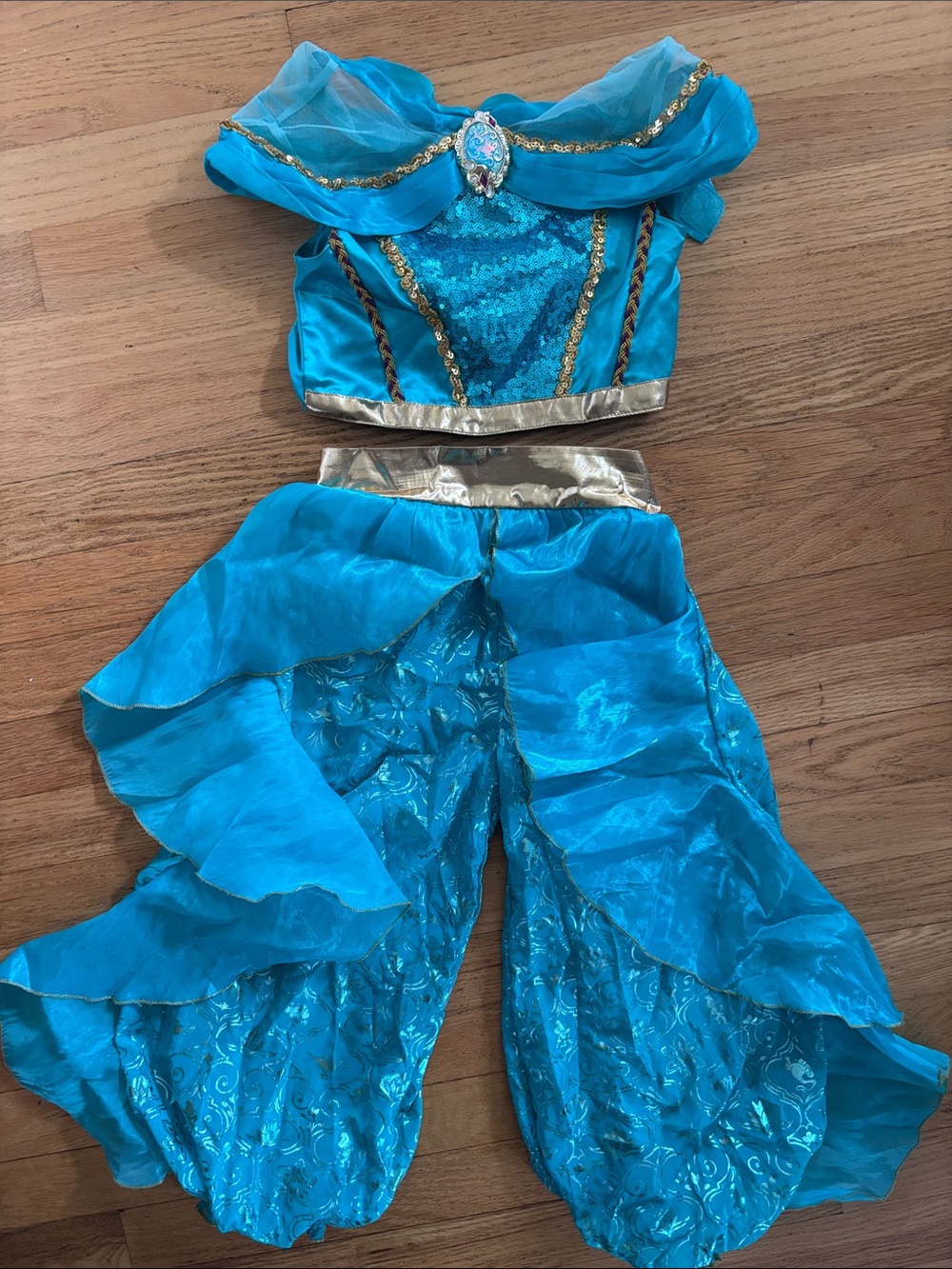 Princess Jazmine Disney Costume